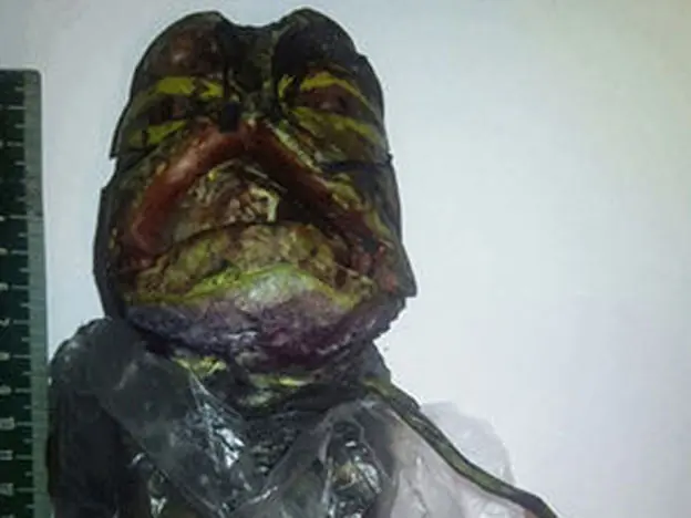 Rusa tiene un alien en su congelador o.O