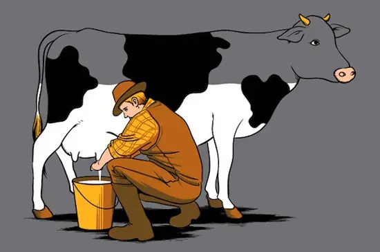 Extraordinarias ilustraciones divertido e inteligente