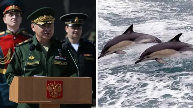 Delfines militares de Crimea ahora son rusos