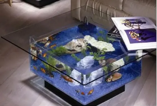 peces
