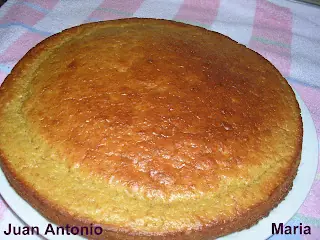 Recetas veganas - vegetarianas 100%