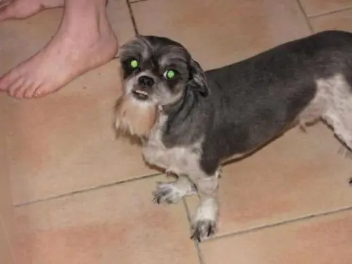 su nuevo corte de pelo