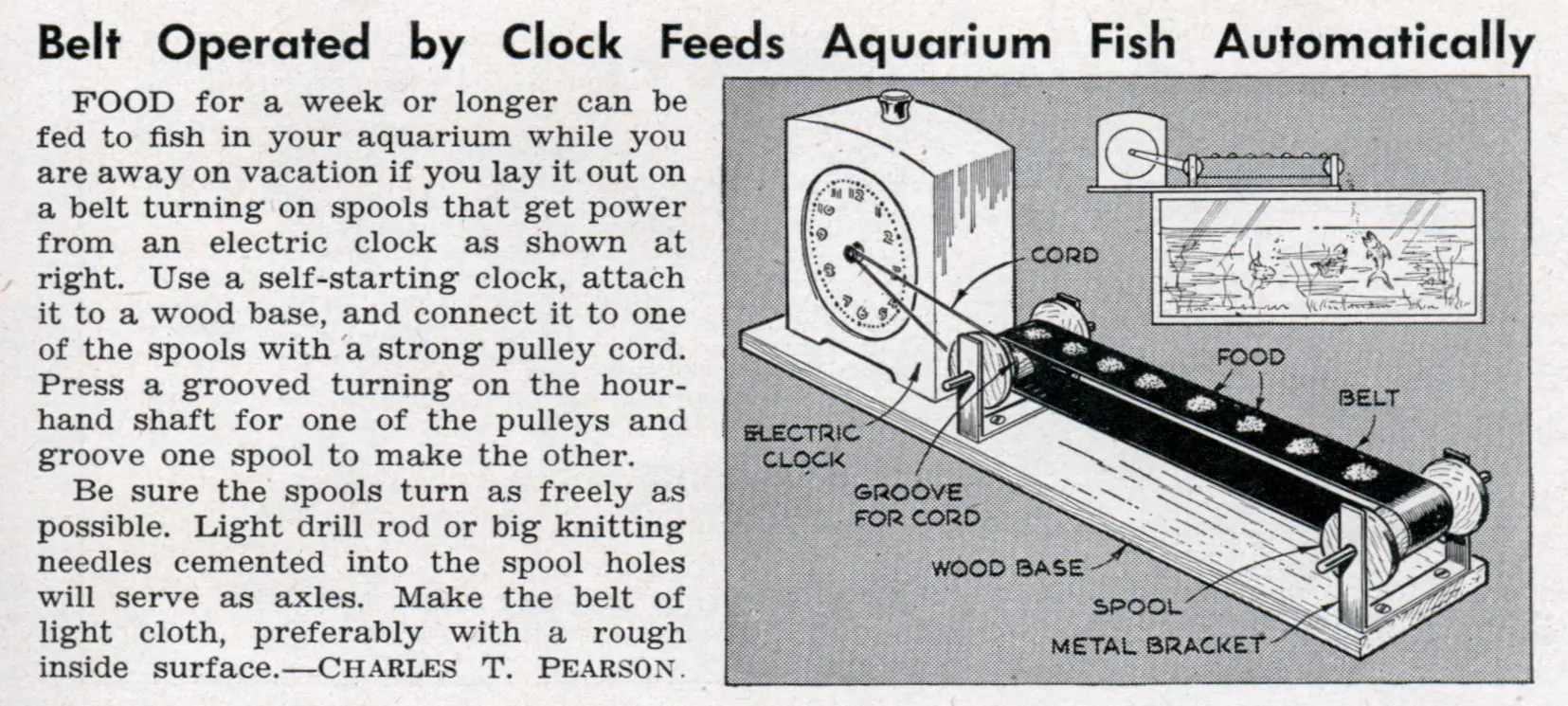 Hace tu propio alimentador automatico para peces!