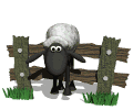 Animales
