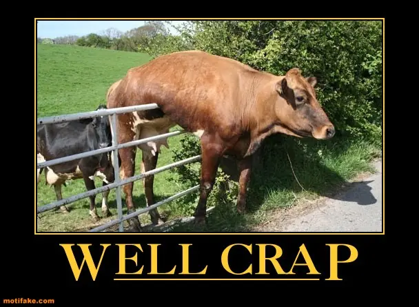 crap