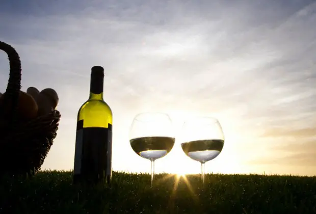 Cinco nuevos Cabernet Franc que tenés que probar.