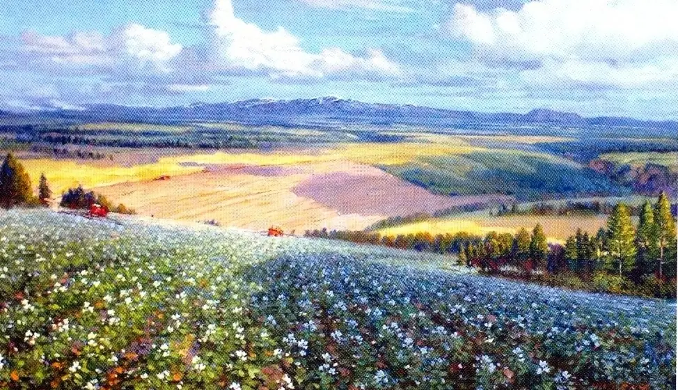 arte