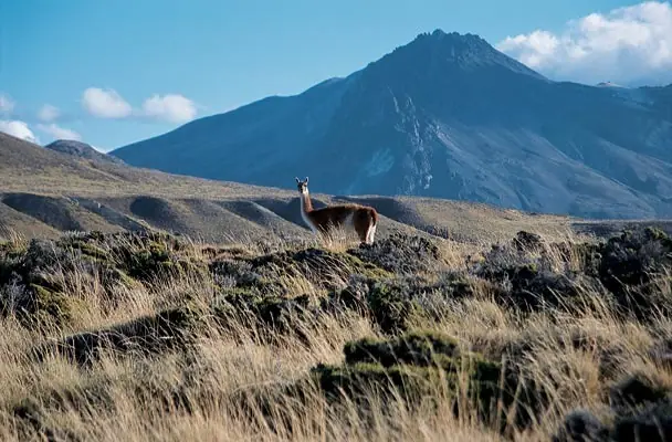 25 destinos ocultos de la Argentina para visitar.