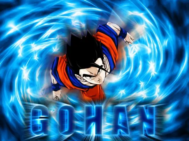 gohan