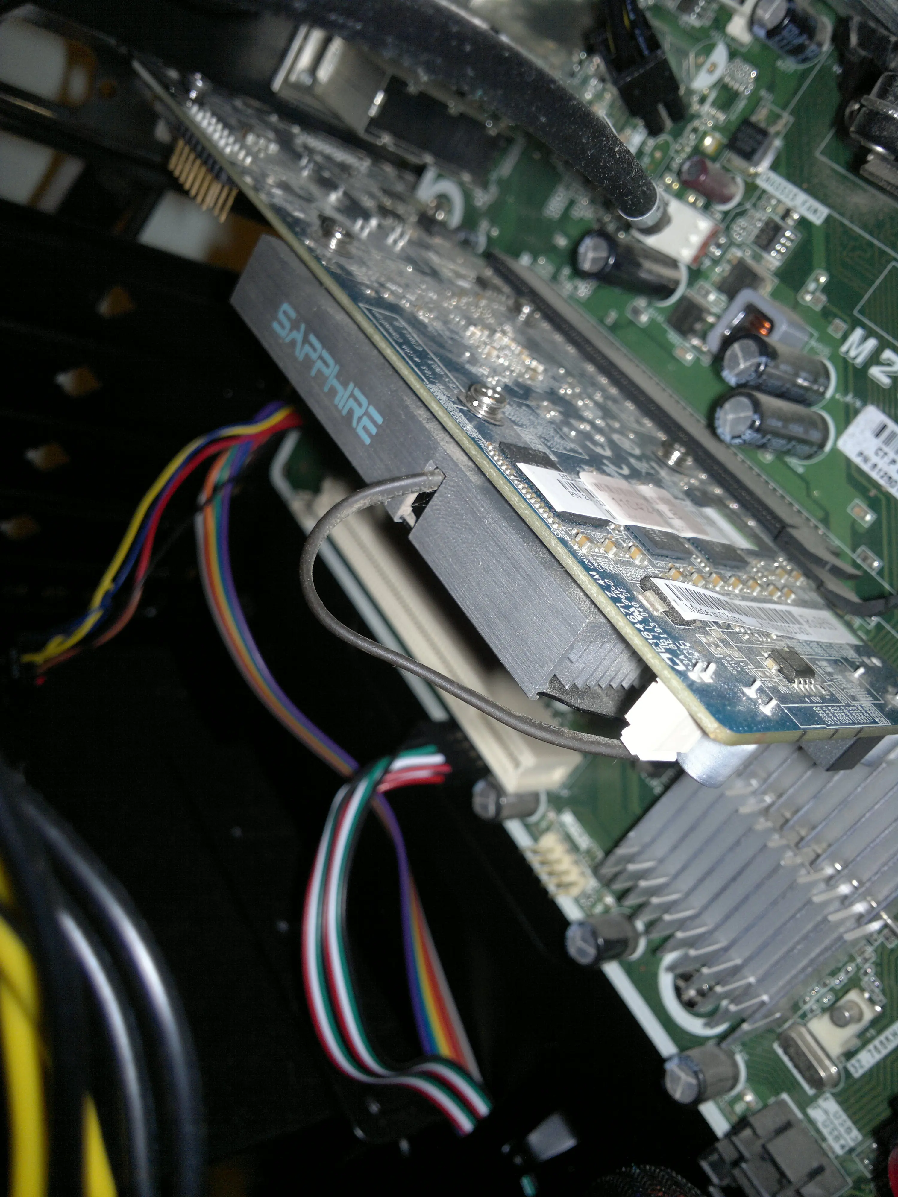 amd