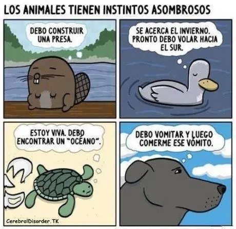 copado