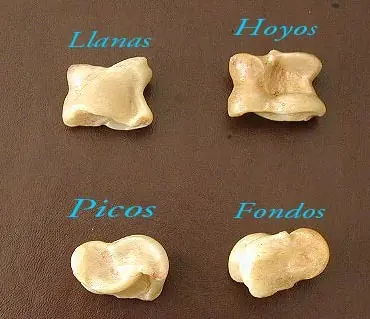 deportes
