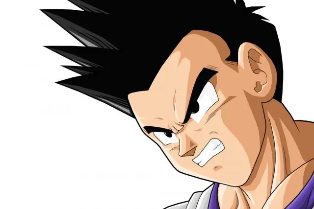 gohan
