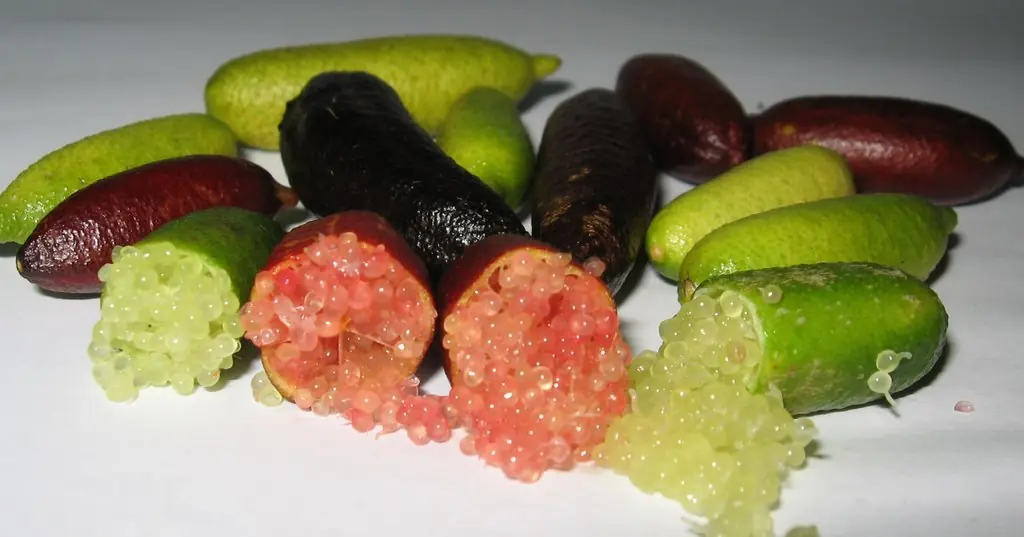 Las 25 frutas mas eoticas y raras del mundo! (resubido)