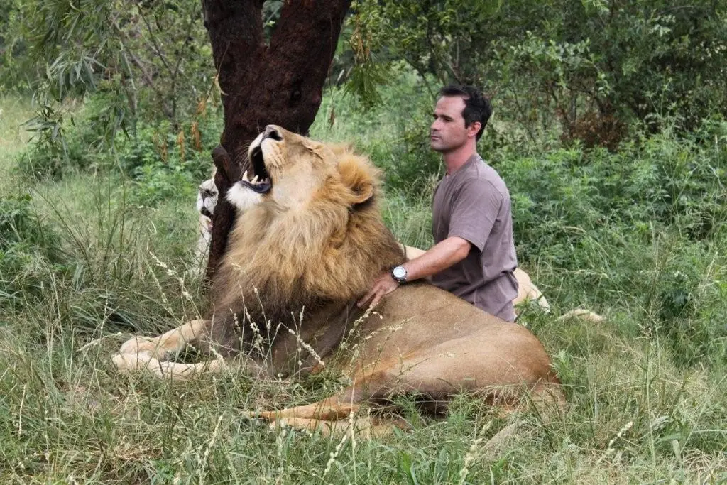 leones