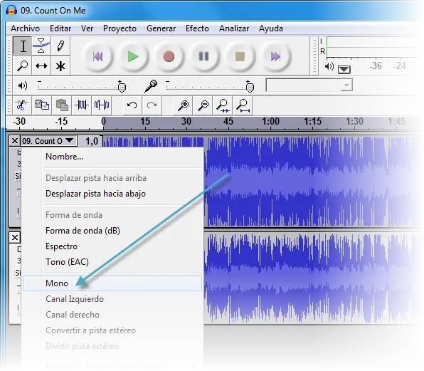 hacer karaoke