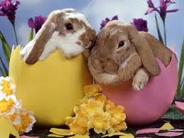 la leyenda del conejo de pascua