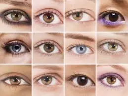 Cómo aplicar sombras segun la forma de los ojos