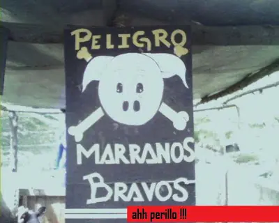 lo que sea