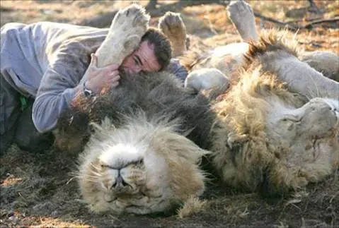 Cuidado con el gatito
