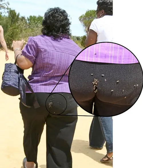 fails