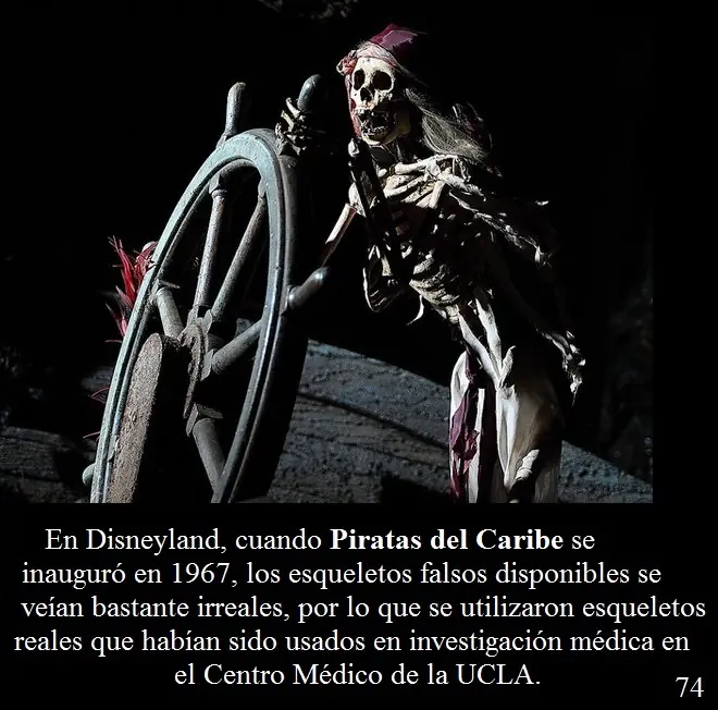 Walt Disney: detalles que no conoces