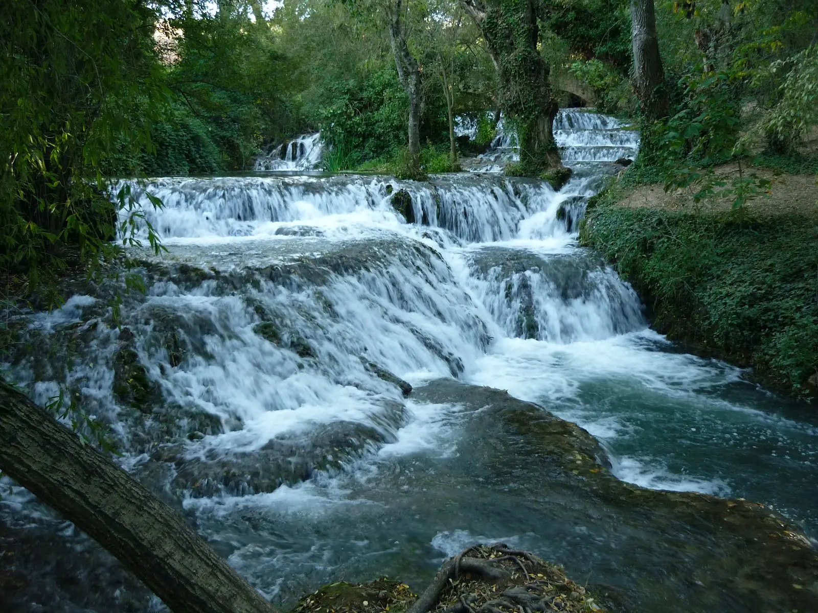 7 tazas