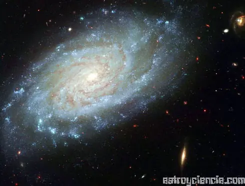 Grandes Misterios del universo