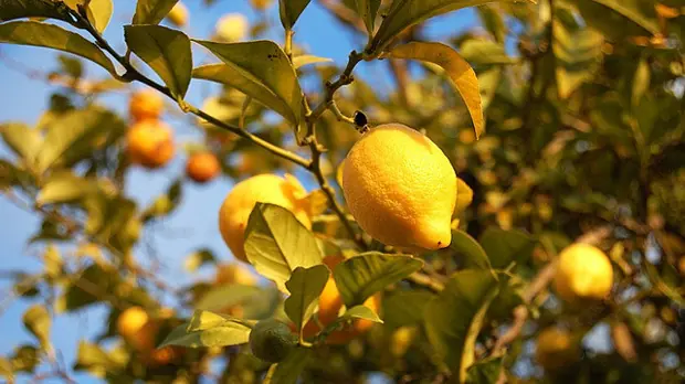 10 mitos del cáncer desmentidos en este post