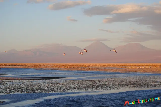 salar