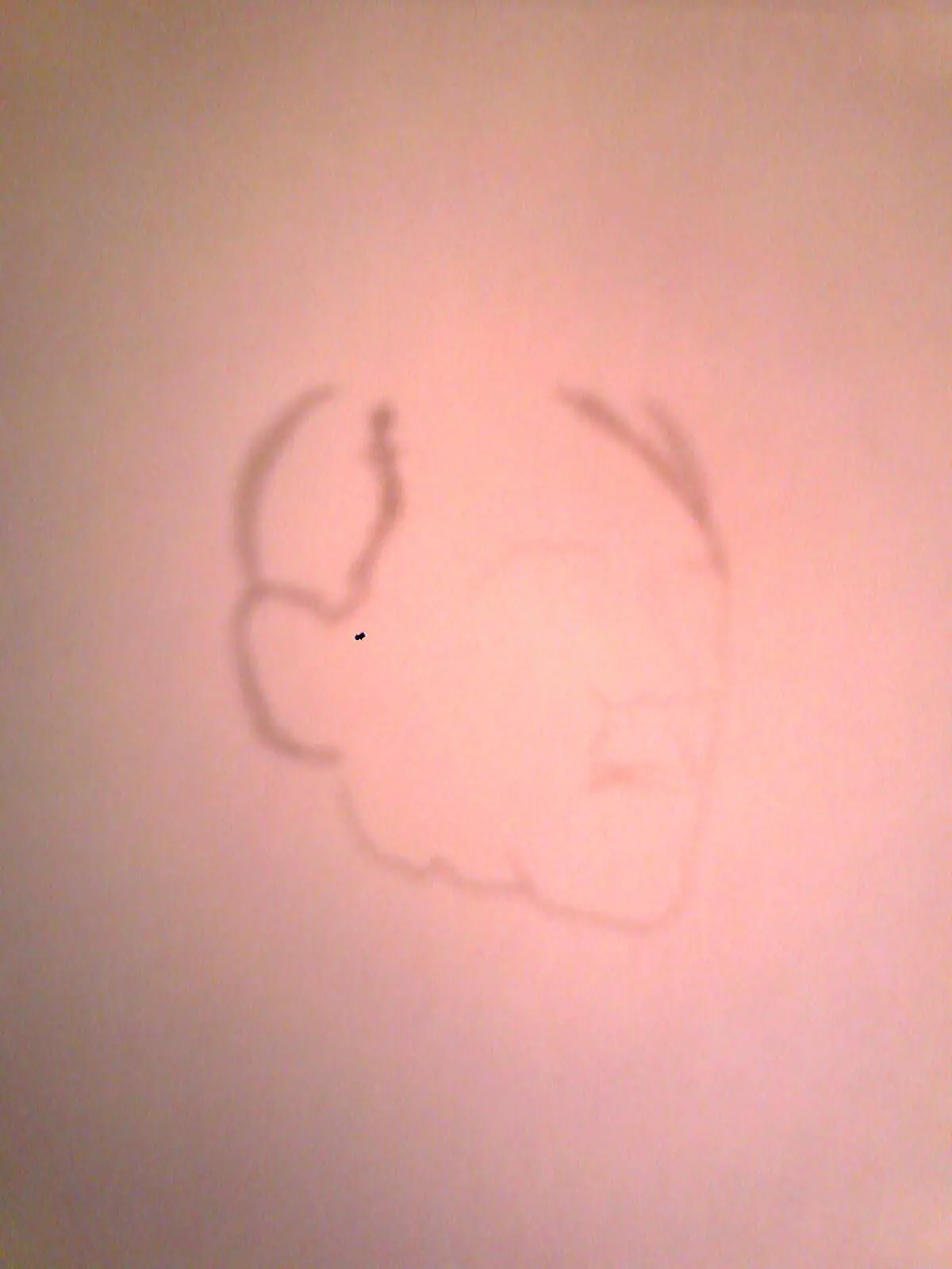 Mi Taller de Dibujo 2 ( Propio )