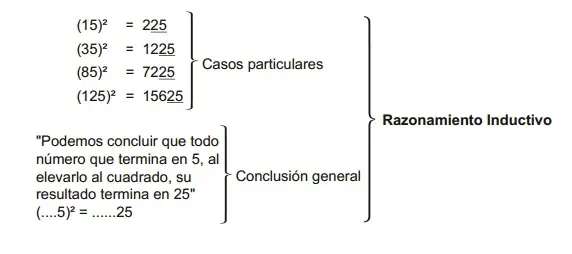 colectiva