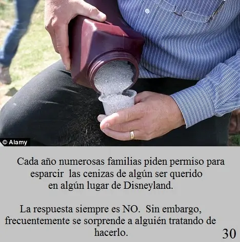 curiosidades