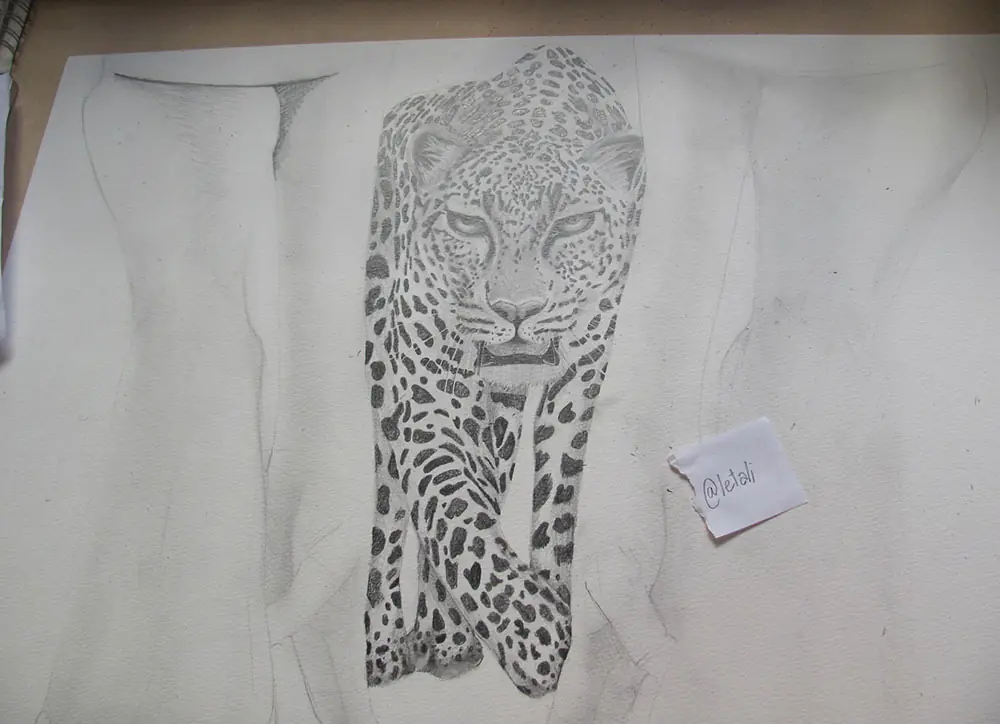 leopardo