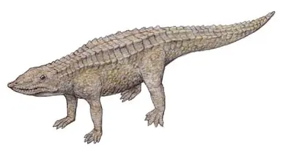 prehistoria
