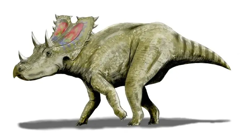Mesozoico