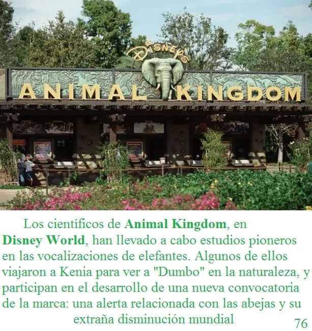 Disneyland