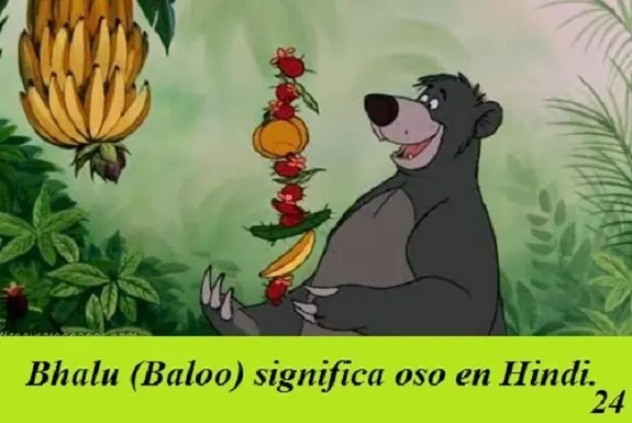 curiosidades