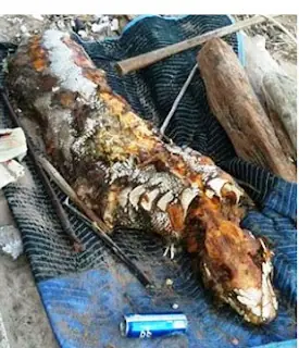 Hallan un "monstruo" en el puente de Brooklyn