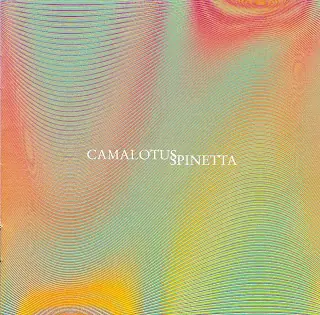 día del rock nacional, homenaje a spinetta