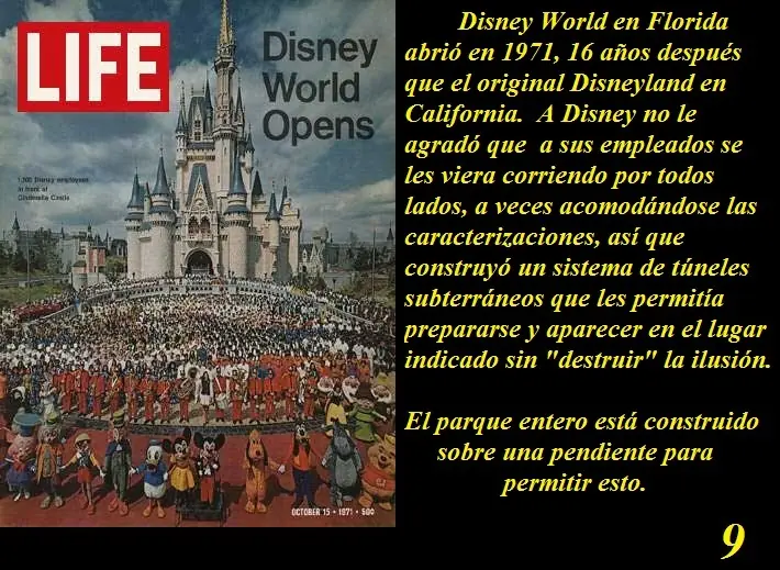 curiosidades