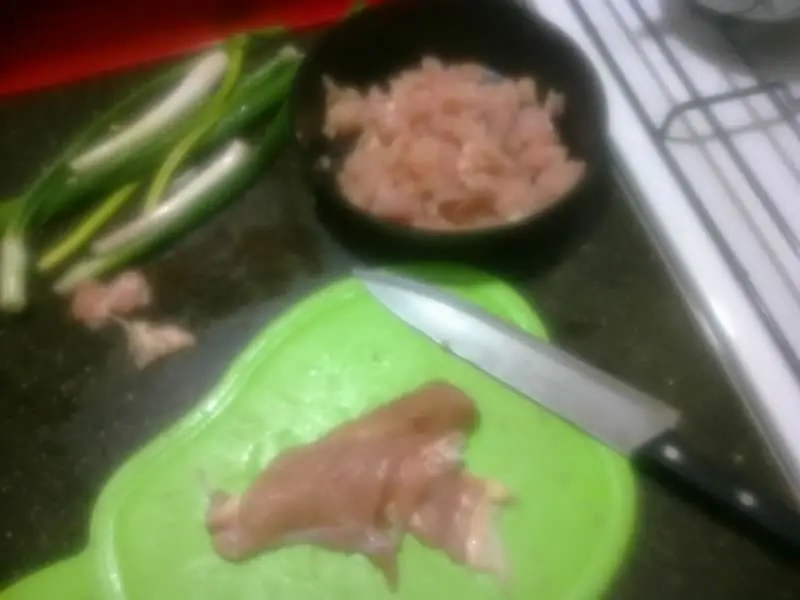 Empanadas de Pollo a la Parrilla
