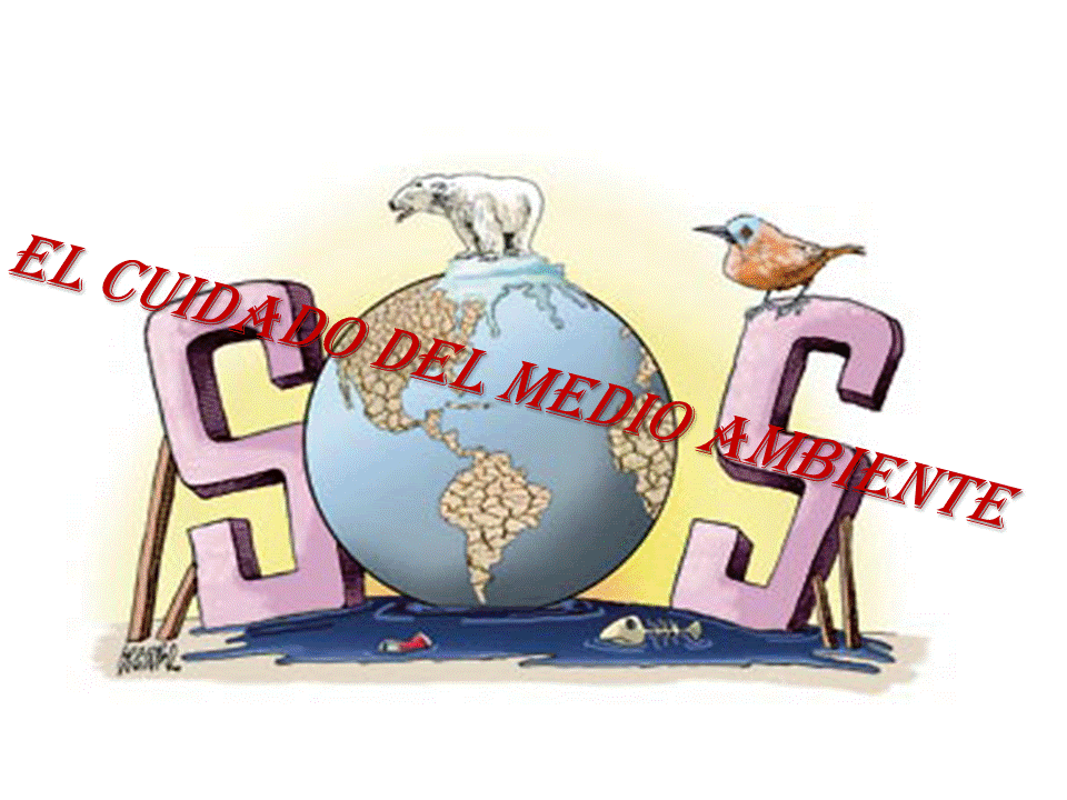 accidentes