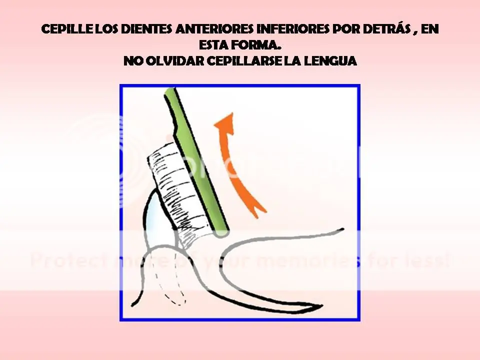 medio ambiente