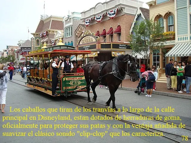 curiosidades