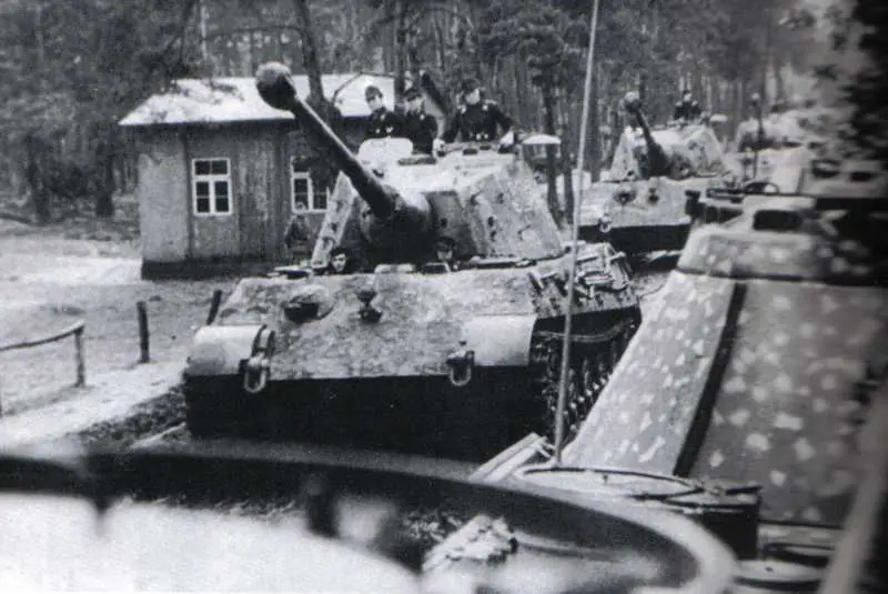King Tiger