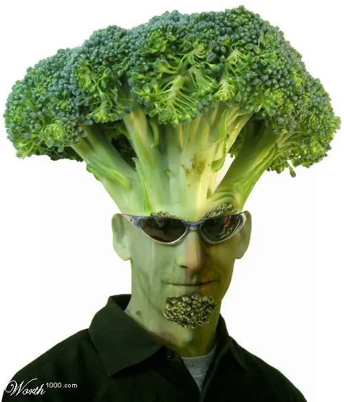 gordo
