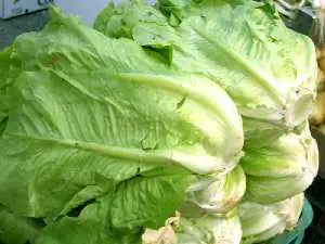 vegetales