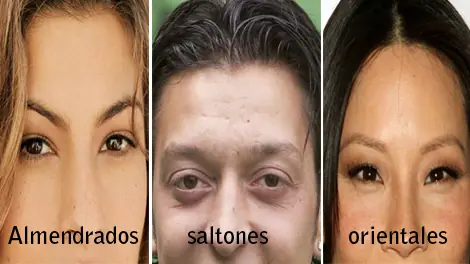 partes