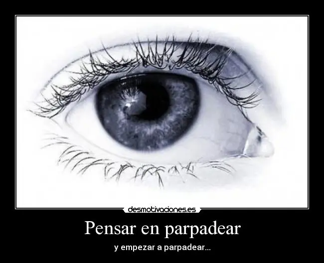 cabeza